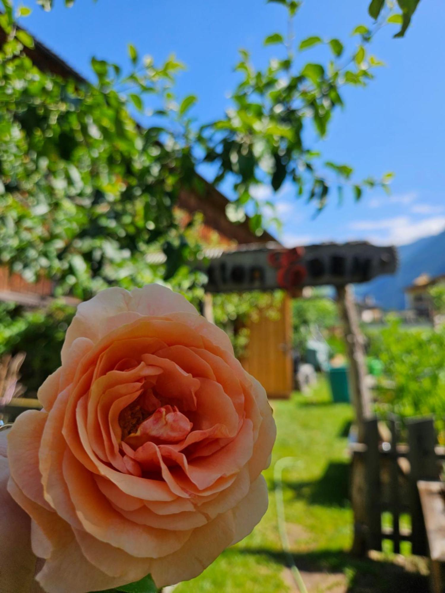 Hotel Edenlehen Mayrhofen Exterior photo